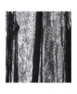 Dolce & Gabbana Chantilly Lace Shirt With Satin Details 6 Dolce & Gabbana Chantilly Lace Shirt With Satin Details -Italist Store 2db4c27999c6b9187e1c1040da02675c