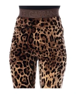 Dolce & Gabbana Leggings Leo Print 5 Dolce & Gabbana Leggings Leo Print -Italist Store 3d4052c4479ce56683c33a1a32e828e7