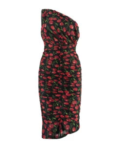 Dolce & Gabbana Draped Tulle One-shoulder Gown