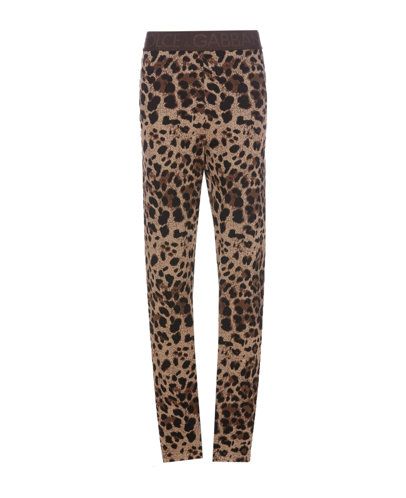 Dolce & Gabbana Leo Leggings 1 Dolce & Gabbana Leo Leggings