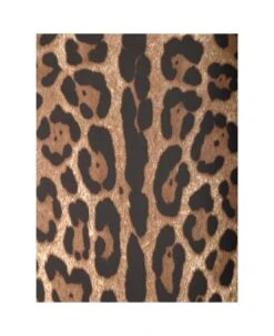 Dolce & Gabbana Animalier Midi Skirt -Italist Store 953fd09a4cded5fc639e2e25ee6d0dd7