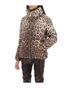 Dolce & Gabbana Leopard Print Short Puffer Jacket -Italist Store a5f0e660a86bfb43e669d4c2d63b4967