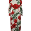 Dolce & Gabbana Flower Print Dress