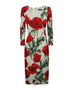Dolce & Gabbana Flower Print Dress