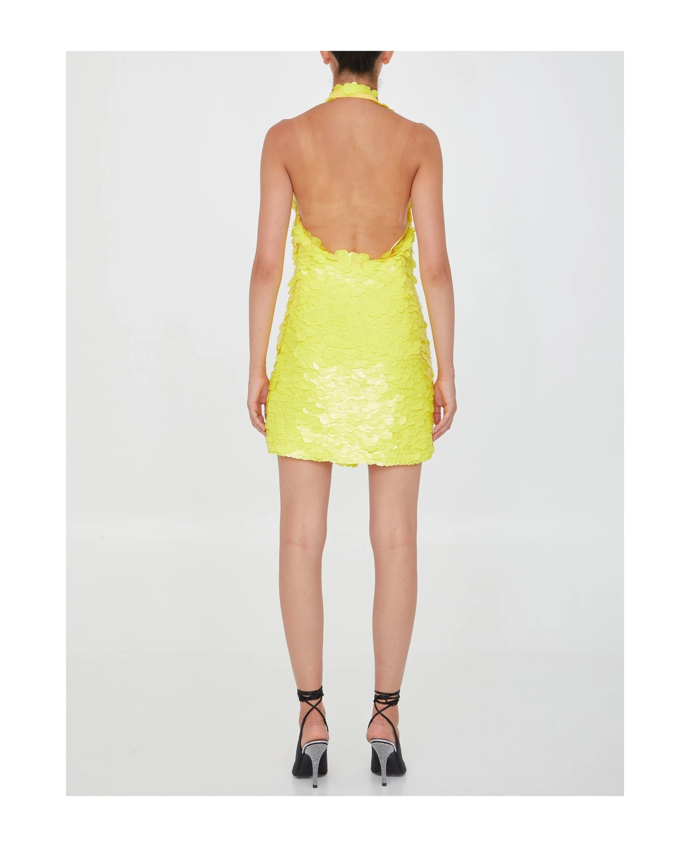 Allium Mini Dress 4 Allium Mini Dress - Image 4