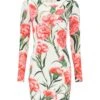 Dolce & Gabbana Long-sleeved Sheath Dress Carnation Print