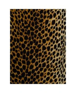 Dolce & Gabbana Woman's Animalier Printed Silk Charmeuse Dress -Italist Store c48bfdcfb301d189061c35b5602711cb