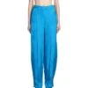 Jagger Pants In Blue Viscose